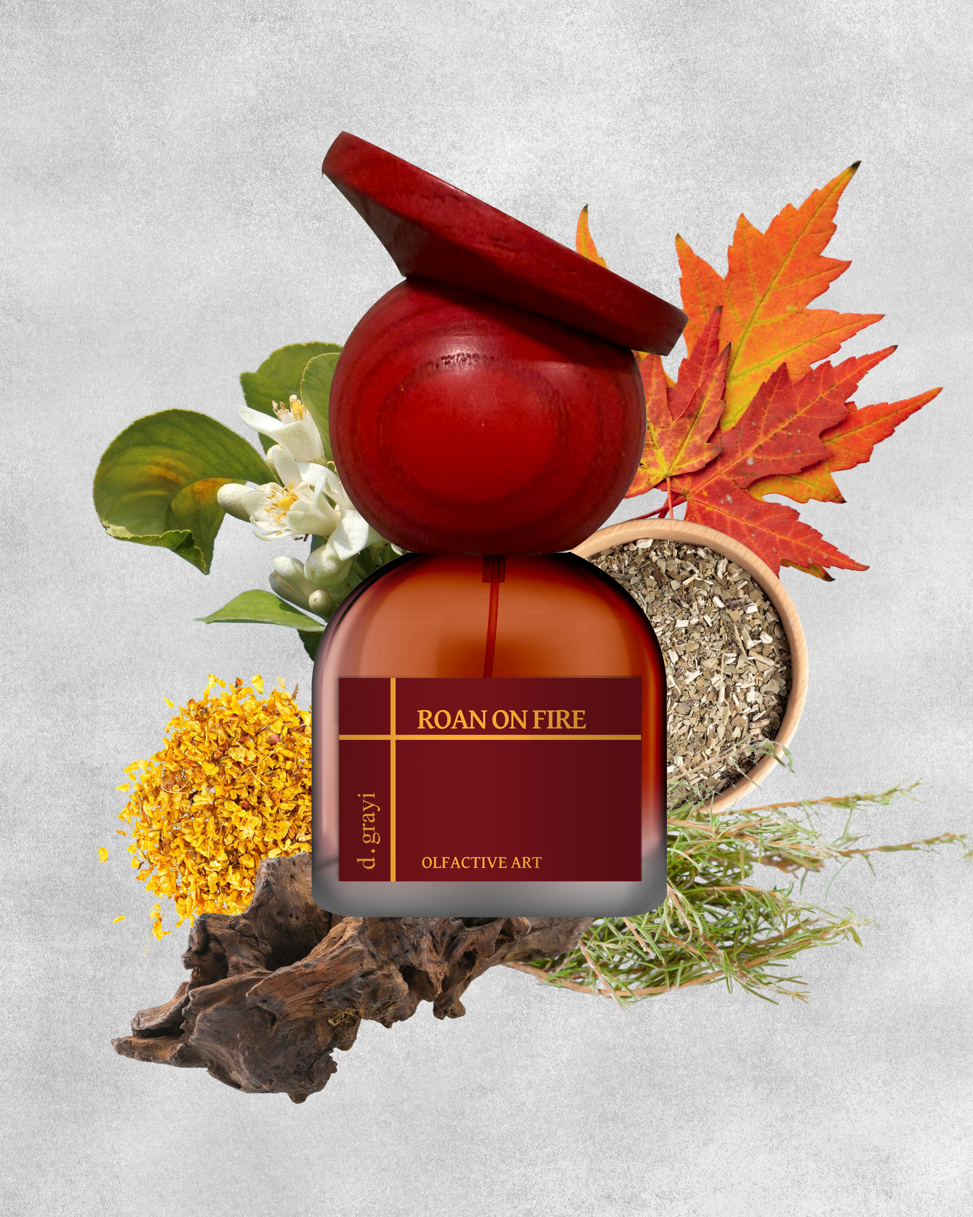 Roan On Fire (Maple, Hawthorn Berry & Incense) - lv1 studio