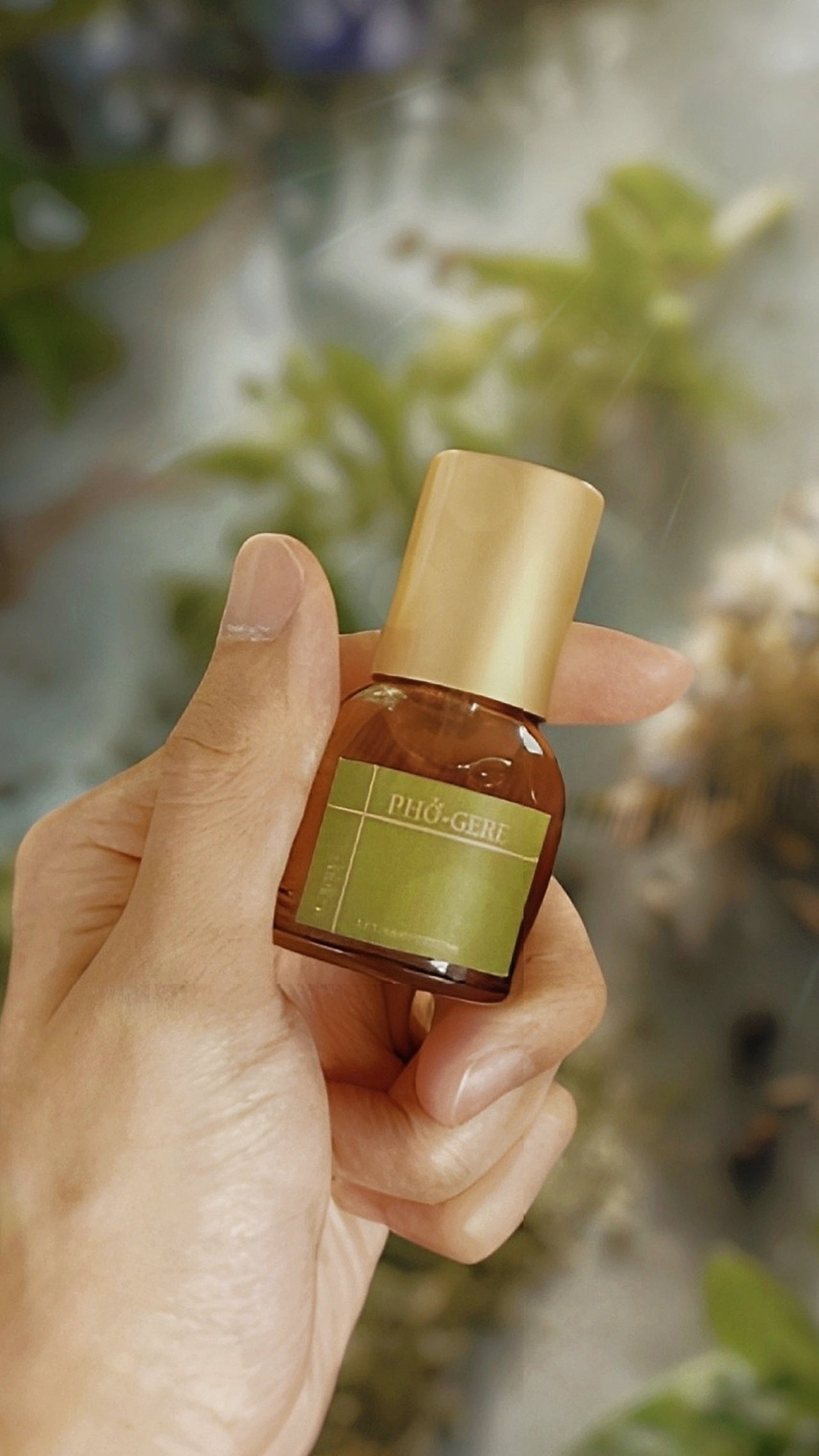 PHỞ-GERE [Pho Broth & Basil Fougere]