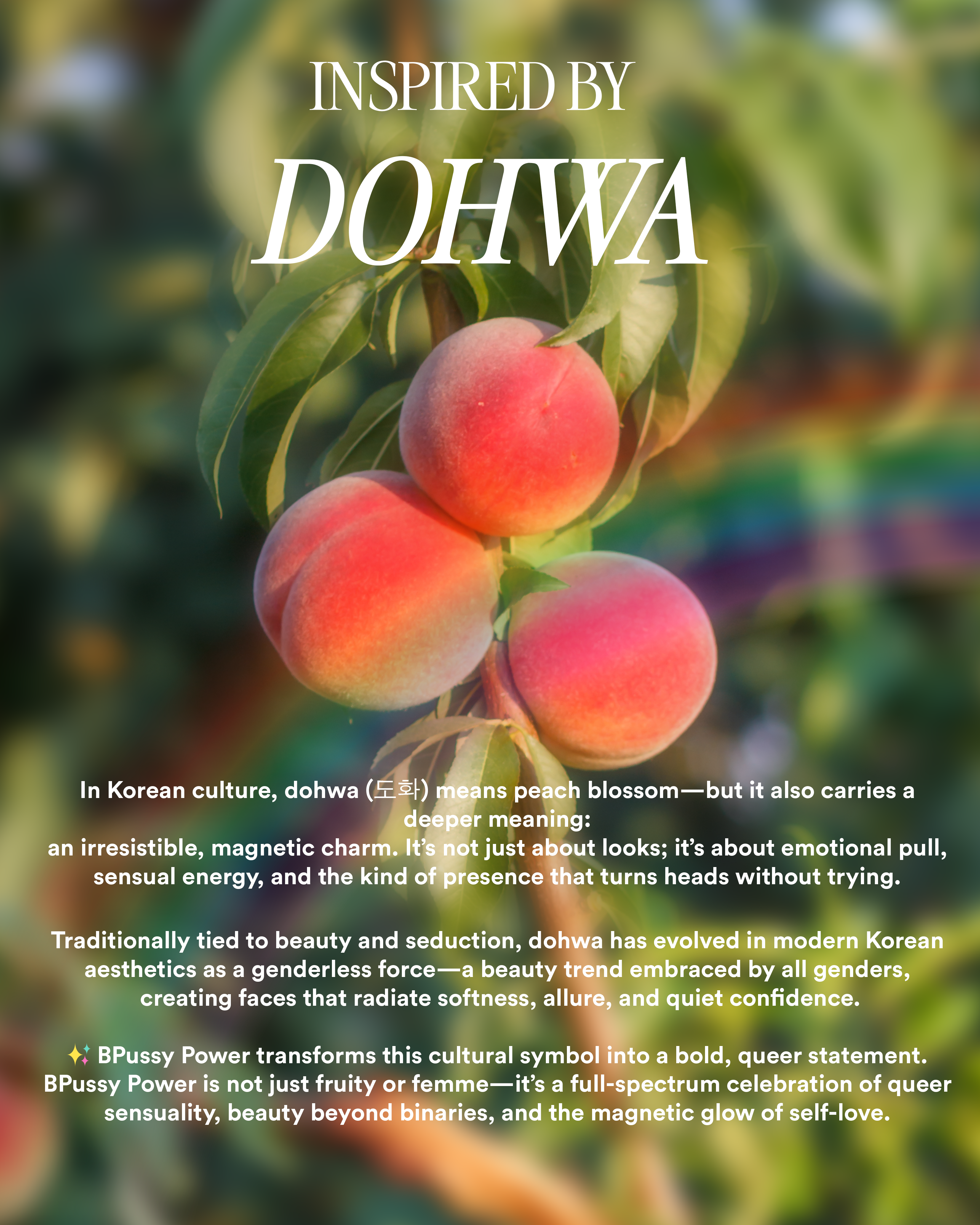 [KST] PRIDE Discovery Set