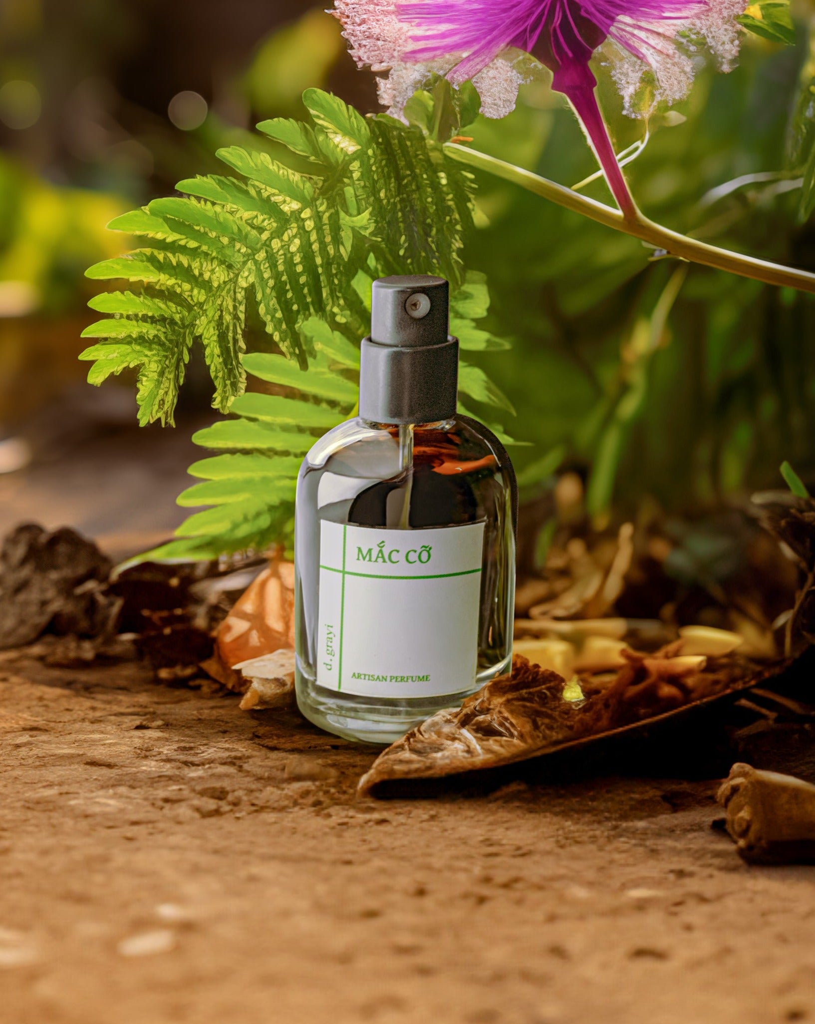 MẮC CỠ - SHY PLANT [Herbs, Moss & Tea]